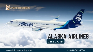 Alaska Check-In