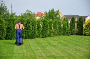Essential Landscaping Tips for a Beautiful Yard