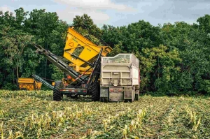 Expert Tips for Dump Truck Safety