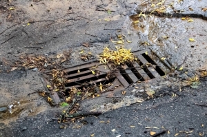 Blockages in Newhaven: Unveiling the Culprits of Clogs and How to Conquer Them