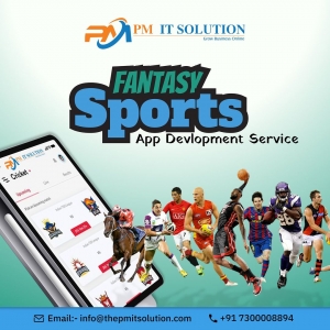How to Choose the Best Fantasy Sports App Development Company