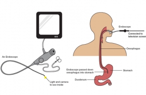 Diagnostic Services in Kolkata