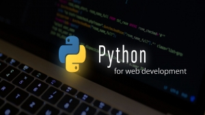 The Role of Python in Web Designing | The Futuristic Technology