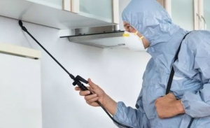 Your Pest-Free Haven: Melbourne's Leading Pest Control Unit