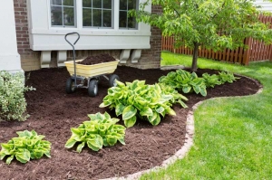 Augment your property's value with proper gardening and landscaping services in Canberra