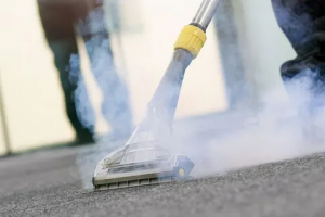 What Are the Benefits of Carpet Steam Cleaning? 