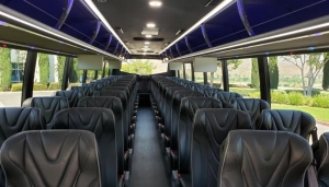 Tour Bus Rentals vs. Traditional Travel: Pros and Cons
