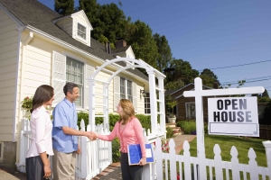 Advantages of Working with a Real Estate Agent for Property Buying