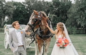 Rustic Barn Wedding Venues