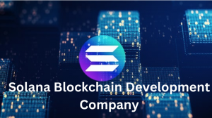 Why Solana Blockchain Development Companies Are Dominating the Crypto Space