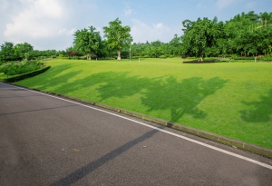 Asphalt Driveway Near Me In West Windsor Township NJ