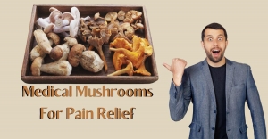 The Medical Mushrooms: Your Ultimate Guide to Pain Relief