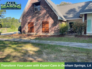 Top Quality Landscaping Company in Baton Rouge - All Seasons Landscaping