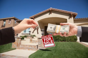 The Key Factors to Look for in a Property for Sale