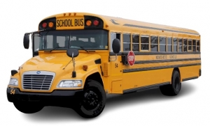 Discovering Budget-Friendly School Bus Transport Solutions