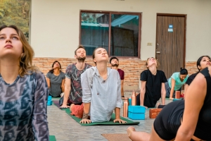 200 hour Yoga Teacher Training in Rishikesh vinyasa yoga academy 