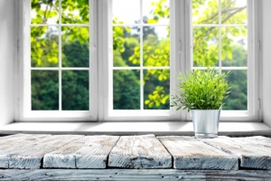 The Surprising Health Benefits of Indoor Plants