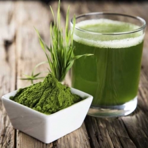 The Rise of Spirulina Powder in Maharashtra: A Nutritional Powerhouse