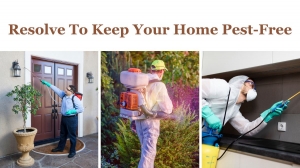 Resolve To Keep Your Home Pest-Free