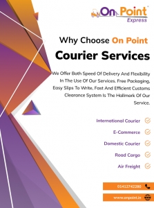 Domestic Courier Services: A Comprehensive Guide