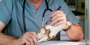 Sculpting Stronger Knees: Artisanal Surgeons in Chandigarh