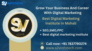 Best digital marketing institute in Mohali-s2vinfotech