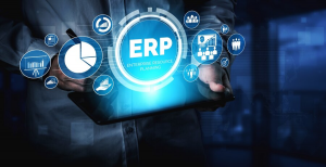 Budgeting and Cost Control with Web-Based ERP Software