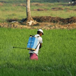 Biopesticides: Cultivating Sustainable Crop Protection in the Global Market Introduction to Biopesticides 