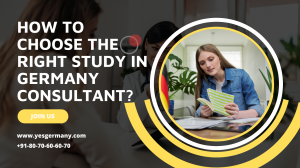 How to Choose the Right Study in Germany Consultant?