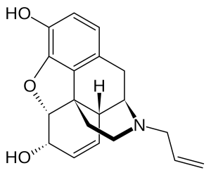 Origine Et Utilisation Médicale De La Codeine