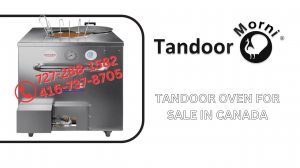 Bake, Roast, Grill: Mastering the Tandoor Oven in Your Home Kitchen