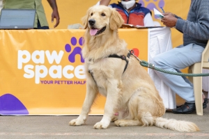 Pawspace Pet Boarding Service in Bangalore: A Home Away from Home for Your Furry Friend