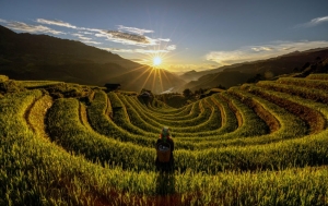 Sapa Trekking Tour: Exploring the Magic of Northern Vietnam