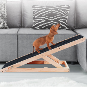 Getting a Leg Up: Dog Ramps in Australia for Easy Accessibility