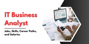 IT Business Analyst: Jobs, Skills, Career Paths, and Salaries