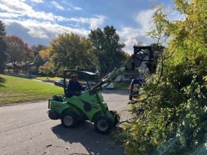 Storm Aftermath: Efficient Tree Removal and Stump Grinding Services in Minnesota