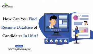 How Can You Find  Resume Database of  OPT Candidates In USA?