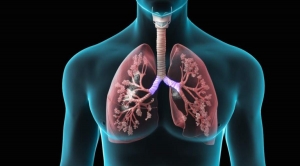 Pulmonary Drug Delivery Systems Is Estimated To Witness High Growth Owing To Rising Prevalence of Respiratory Diseases