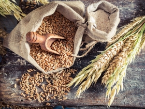 Whole Grains and Their Protective Effect Against Certain Cancers
