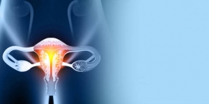 U.S. Uterine Fibroid Treatment Market Estimated To Witness High Growth Owing To Rising Prevalence of Uterine Fibroids 