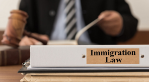 Benefits of Hiring an Immigration Lawyer for Citizenship: Maximizing Your Chances of Success