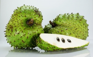 Potential Health Benefits of Consuming Soursop Fruit