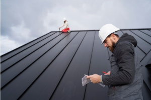 Raising the Roof: A Comprehensive Guide to Insulating Pitched Roofs