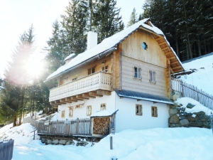 Winter Pest-Proofing Your Home