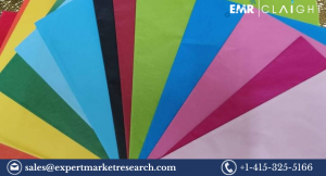 Unveiling the Dynamics of the Global Specialty Paper Market: Growth, Trends, and Projections
