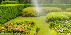 A Comprehensive Overview of Landscape & Irrigation Design