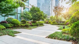 Elevate Your Outdoor Spaces with Turf Plus Outdoor Living's Exceptional Landscaping Services