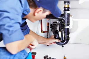 The Importance of Professional Plumbers: Keeping Your Home Leak-Free