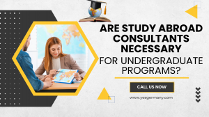 Are Study Abroad Consultants Necessary For Undergraduate Programs?
