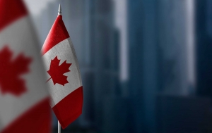 The Requirements of Canadian Immigration Law and How to Proceed It